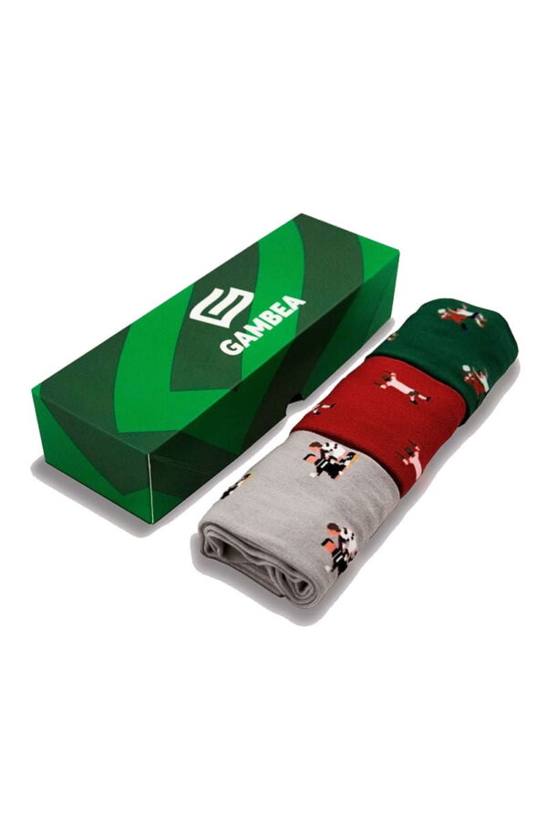 Pack NERVION