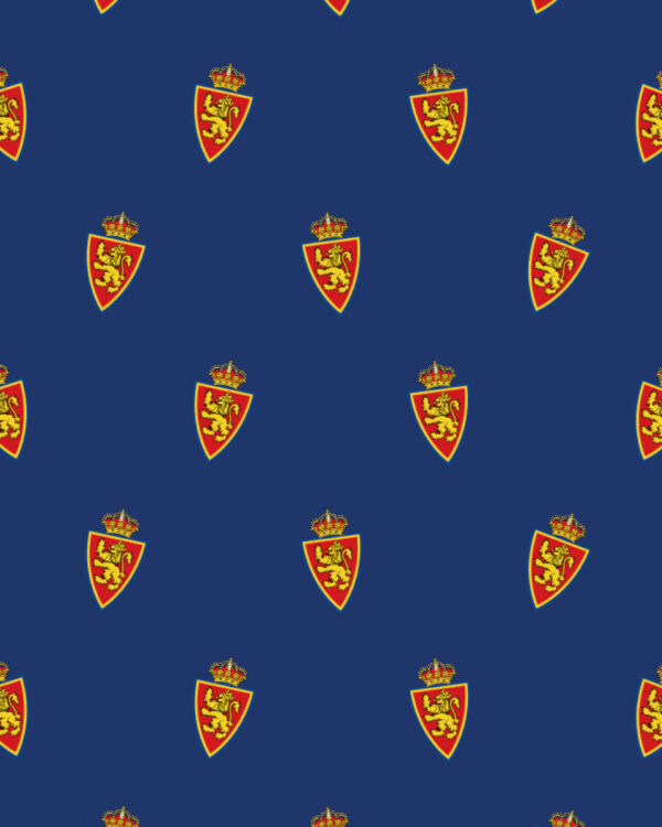 Zaragoza Escudo 2 3
