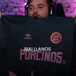 GAMBEA-IBAI LLANOS PORCINOS